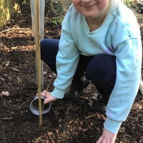 Forest School - Da Vinci block 2